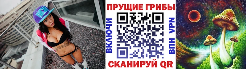 Псилоцибиновые грибы Cubensis  Купить закладки  Новотроицк 