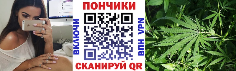 Купить закладки  Новотроицк  Каннабис AK-47 